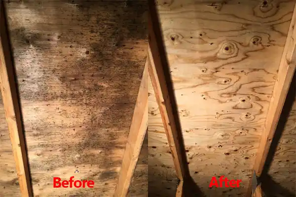 water damage restoration service Shelburne Falls
